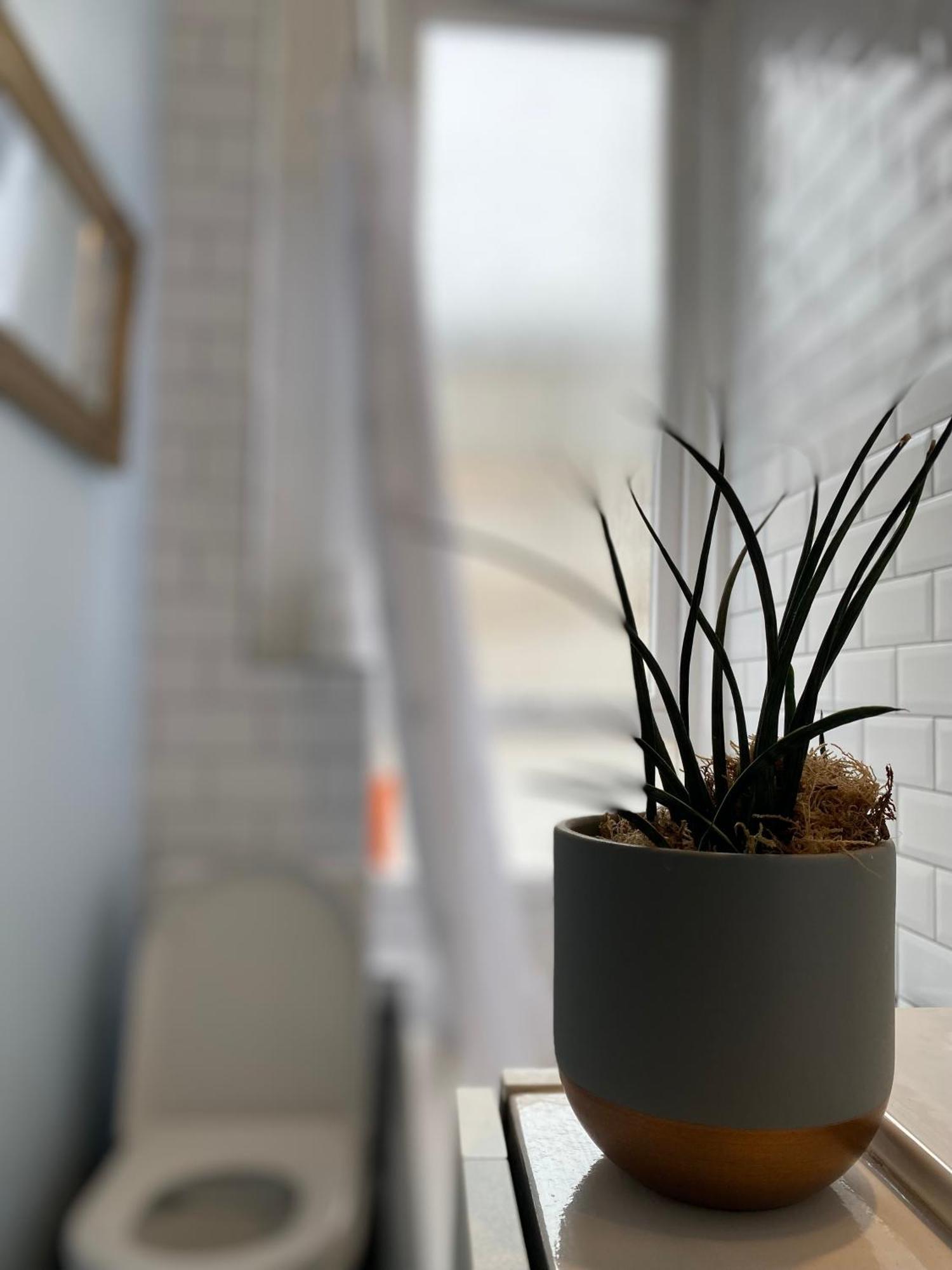 Charming 1 Bedroom Edinburgh Apartment 외부 사진